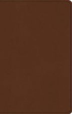 ESV Large Print Value Thinline Bible