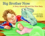 Big Brother Now