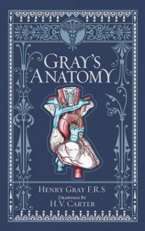 Sterling Leatherbound Classics: Gray's Anatomy by Henry Gray & H V Carter