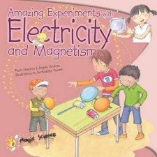 Amazing Experiments with Electricity  Magnetism
