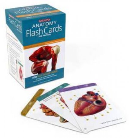 Barron's Anatomy Flash Cards by Ken Ashwell