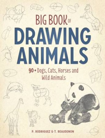 Big Book Of Drawing Animals by P. Rodriguez & T. Beaudenon
