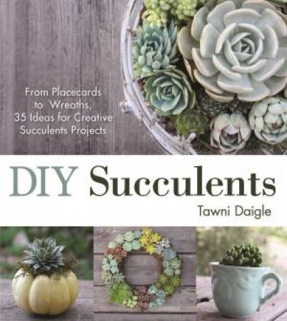 DIY Succulents by Tawni Daigle