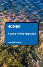 Homer A Guide for the Perplexed