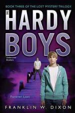 Hardy Boys Undercover Brothers Forever Lost