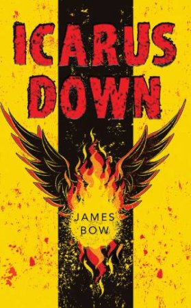 Icarus Down by James Bow