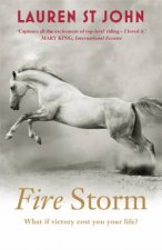 One Dollar Horse 03  Fire Storm