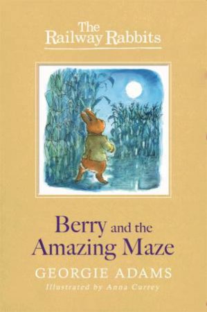 Berry and the Amazing Maze by Georgie Adams