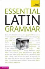 Essential Latin Grammar Teach Yourself