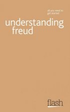 Understanding Freud Flash