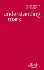 Understanding Marx Flash