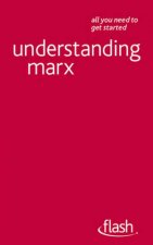 Understanding Marx Flash