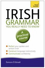 Irish Grammar You Really Need to Know Teach Yourself