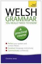 Welsh Grammar You Really Need to Know Teach Yourself