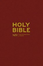 NIV Popular Burgundy HB Bible