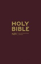 NIV Deluxe Burgundy Leather Bible