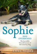 Sophie dog overboard