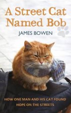 A Street Cat Named Bob