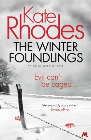 The Winter Foundlings by Kate Rhodes