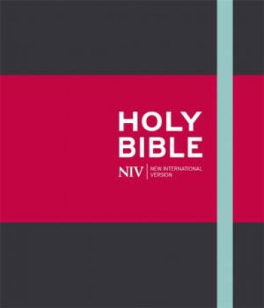 NIV Journalling Charcoal Cloth Bible by New International Version