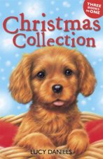 Animal Ark Pets Christmas Collection 3 in 1