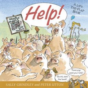 Help by Sally Grindley