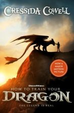 How To Train Your Dragon Film TieIn