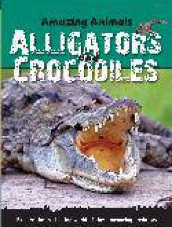 Amazing Animals Alligators And Crocodiles by Sally Morgan