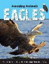 Amazing Animals Eagles