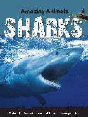 Amazing Animals Sharks by Jen Green