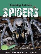 Amazing Animals Spiders