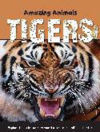 Amazing Animals Tigers by Sally Morgan