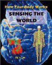 How The Body Works Sensing The World