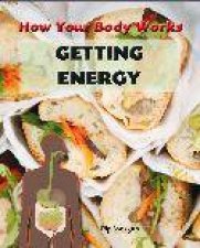 How The Body Works Getting Energy