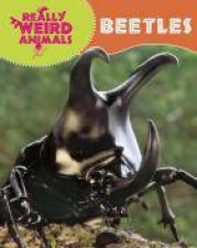 Really Weird Beetles
