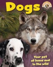 Dogs