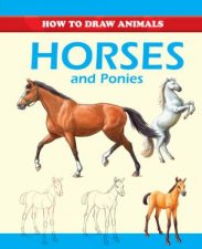 How to draw  Horses and Ponies