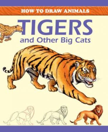 How to draw : Tigers and Other Big Cats by Peter Gray