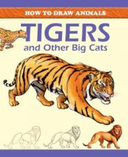 How to draw  Tigers and Other Big Cats