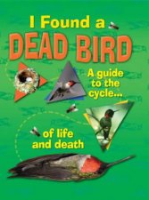 I Found A Dead Bird  A guide to the cycle of life and death