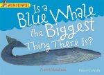 Wonderwise Is A Blue Whale The Biggest Thing There is A book about size