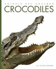 Animals Are Amazing Crocodiles