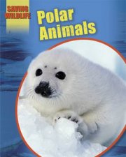 Saving Wildlife Polar Animals