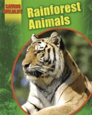 Saving Wildlife Rainforest Animals