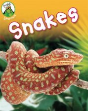 Froglets Learners Snakes