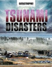 Catastrophe Tsunami Disasters