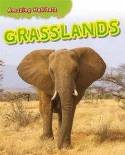 Amazing Habitats Grasslands