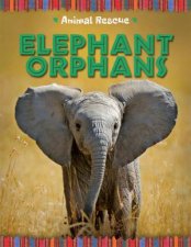 Animal Rescue Elephant Orphans