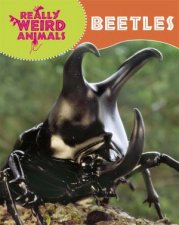 Really Weird Animals Beetles