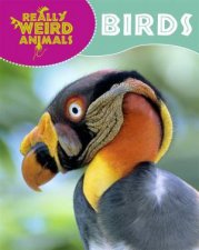 Really Weird Animals Birds